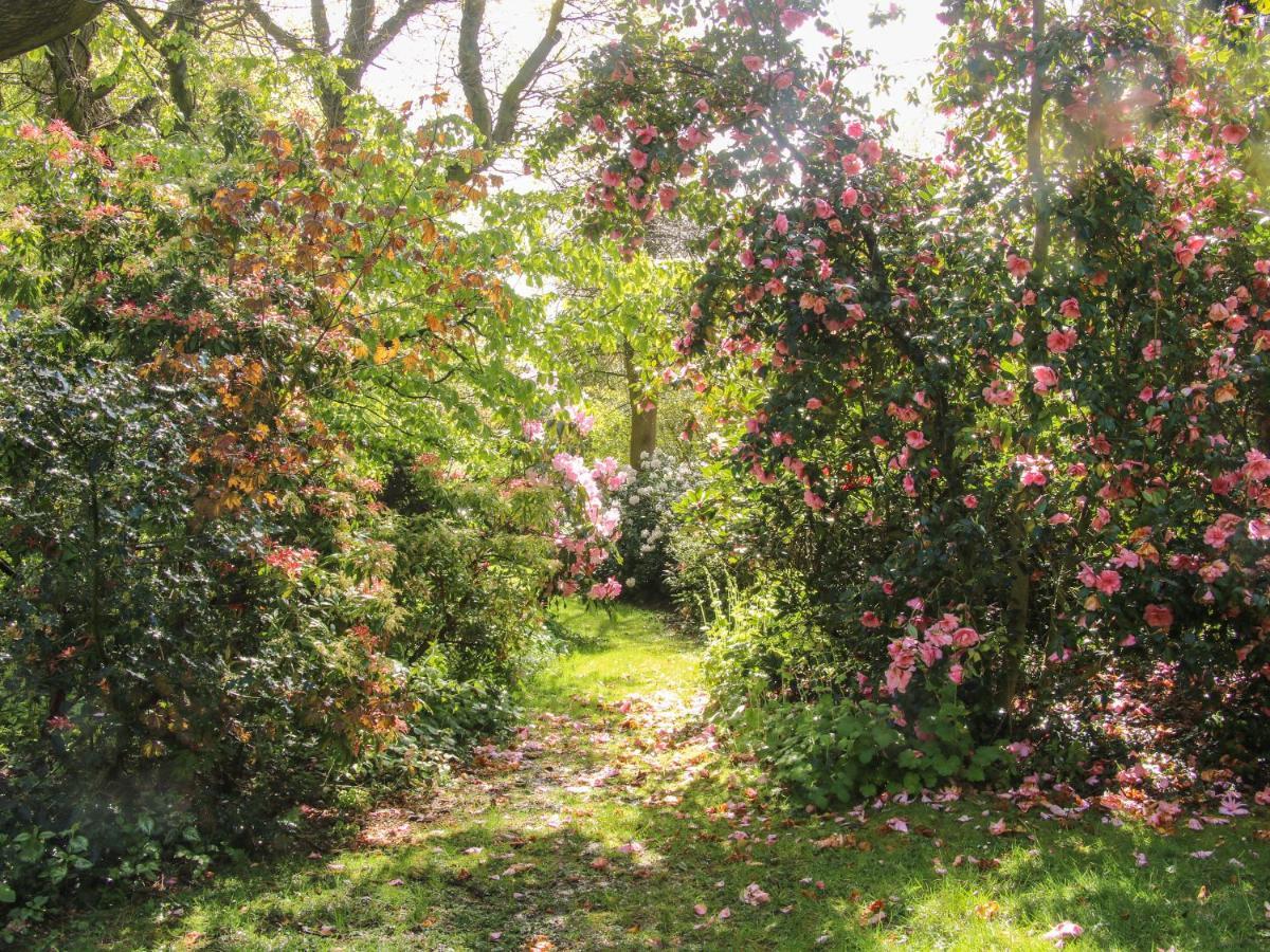 The Garden Lodge Bridgnorth Exteriör bild